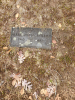 Mary Elizabeth Lathrop